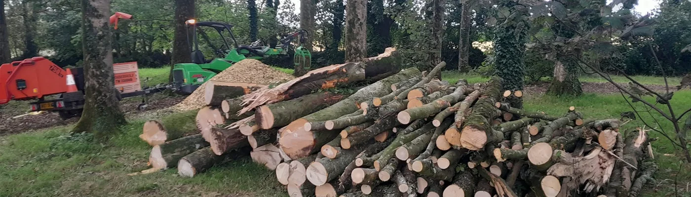 Arborcare Tree Services