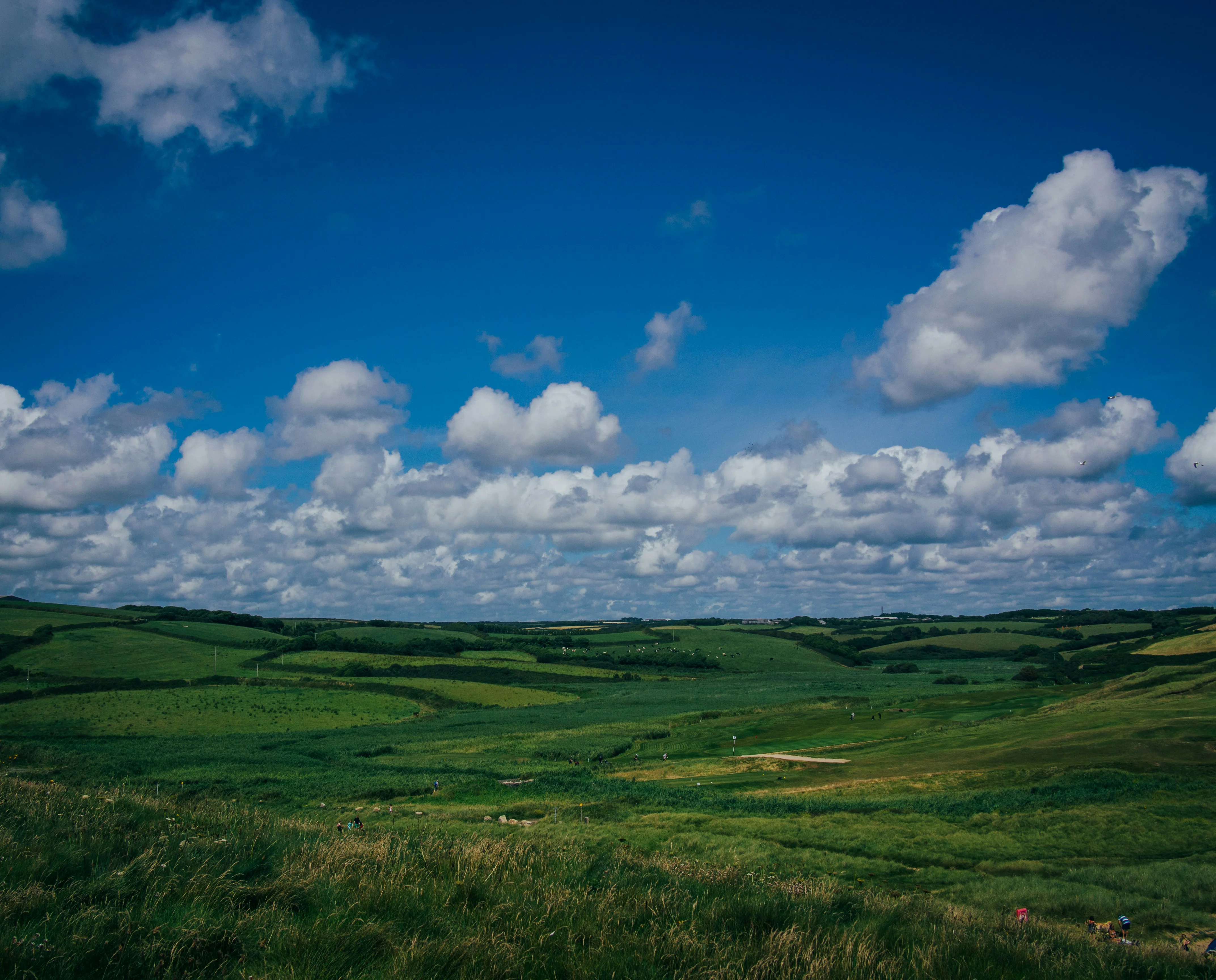 Cornish countryside near Gunwalloe and Helston