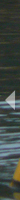 Previous Image