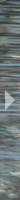 Next Image