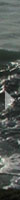 Next Image